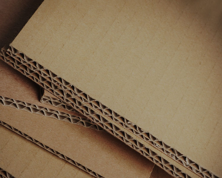 Eco-conscious packaging solutions