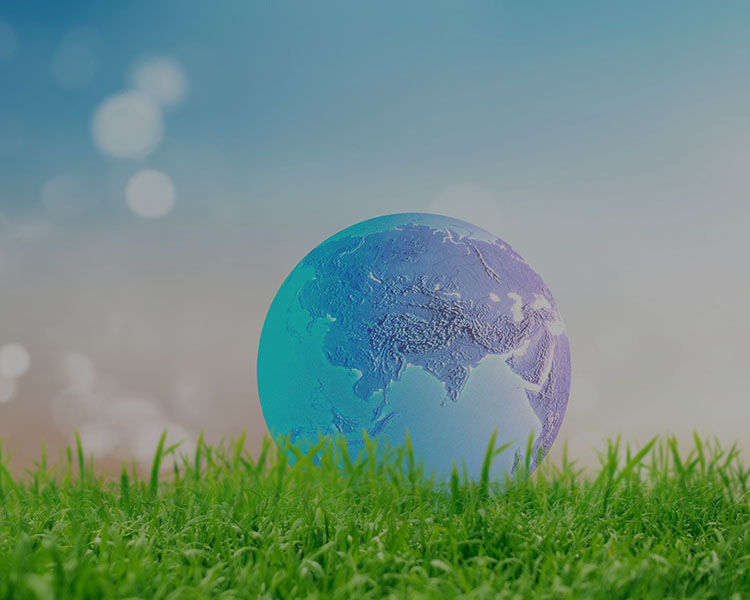 Global packaging compliance certifications