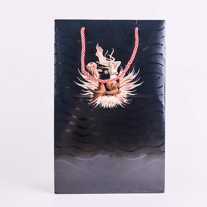 ఫ్యాషన్ షాపింగ్ బ్యాగ్