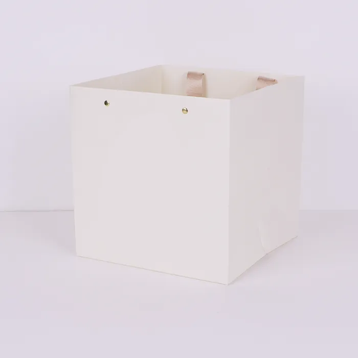 లగ్జరీ పేపర్ బ్యాగులు